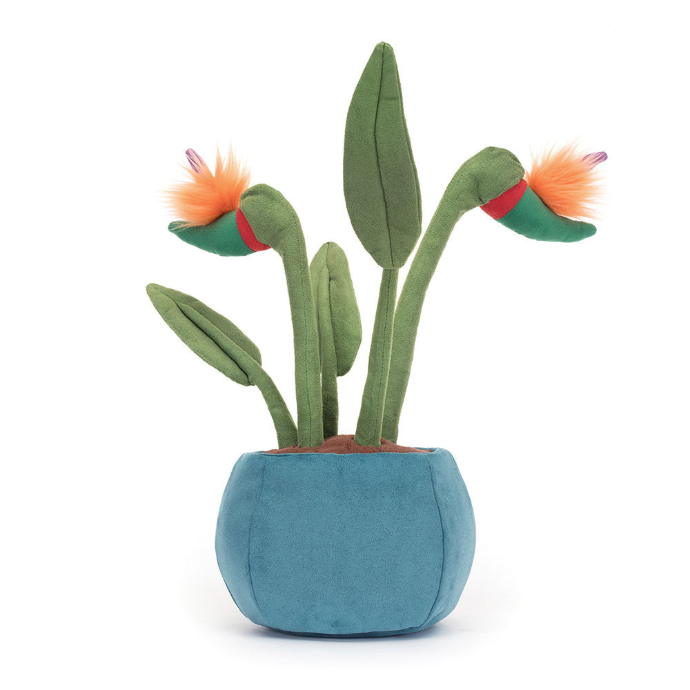 Amuseables Oiseau du Paradis – Jellycat
