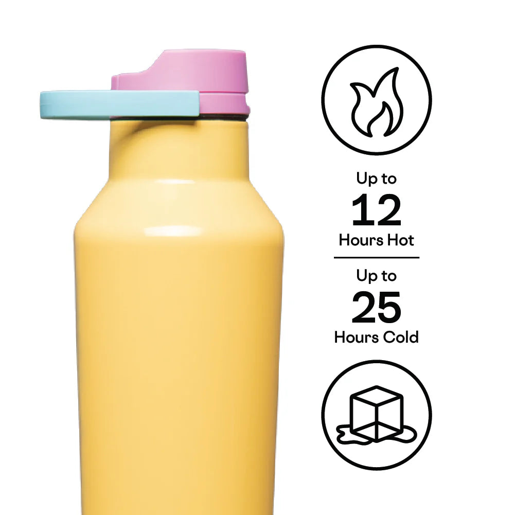 Bouteille Sport 20 oz Toucan Jams – Corkcicle