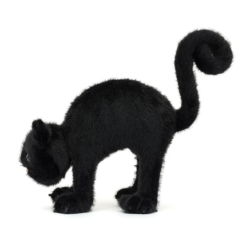 Chat Noir
