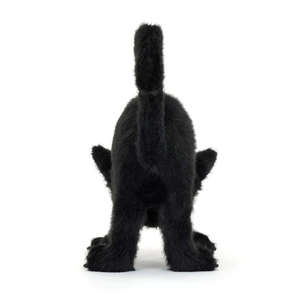 Chat Noir