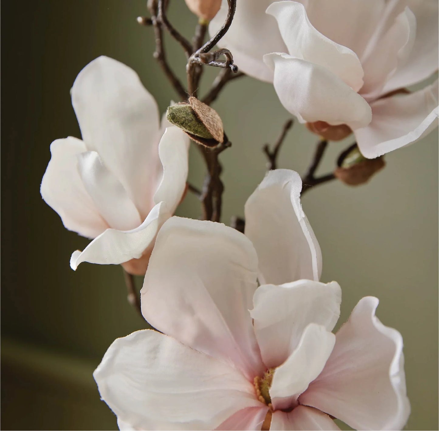 Lotion pour les Mains Magnolia Willow