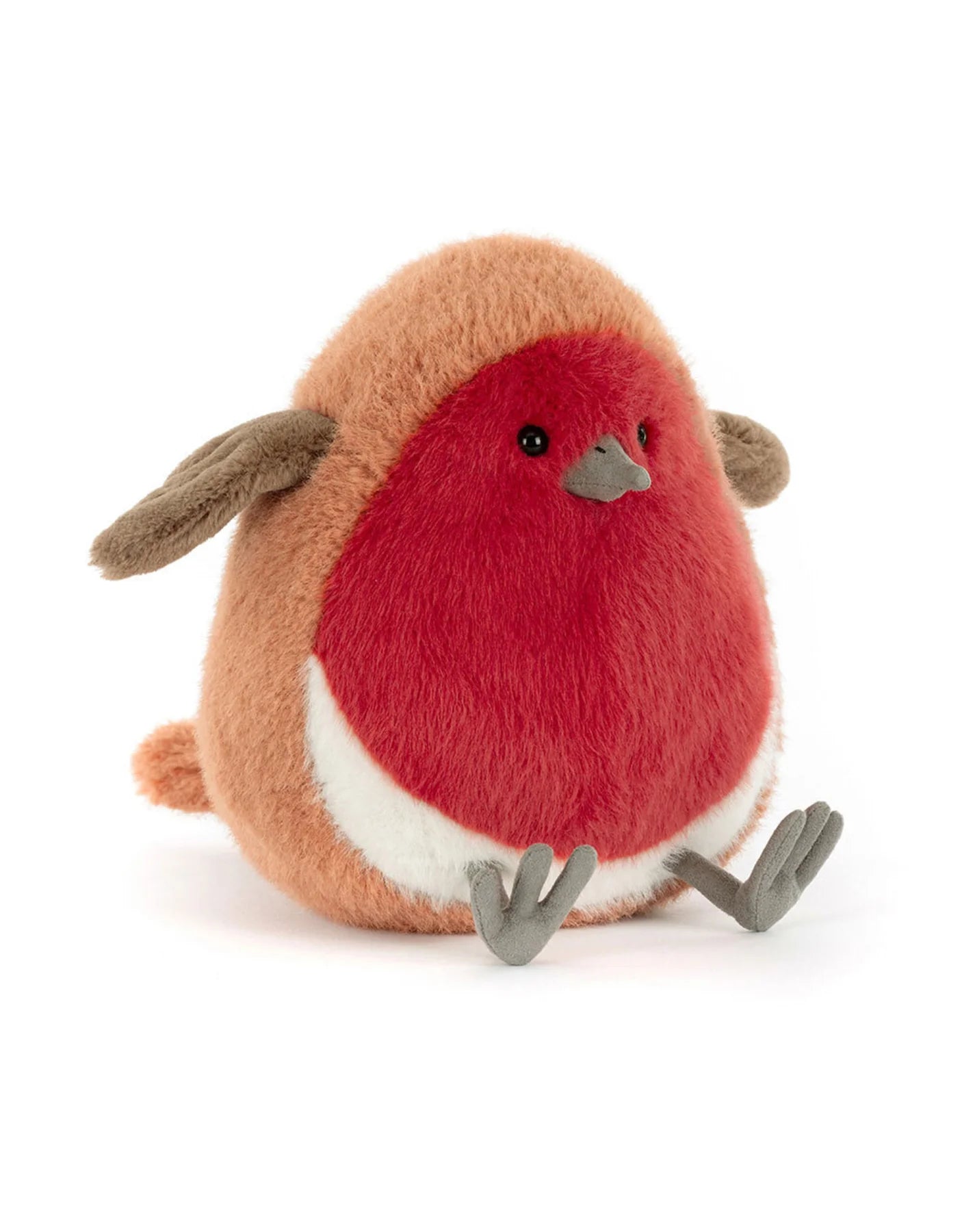 Oiseau Rouge-Gorge