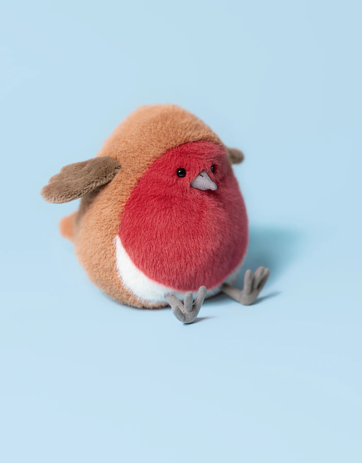 Oiseau Rouge-Gorge