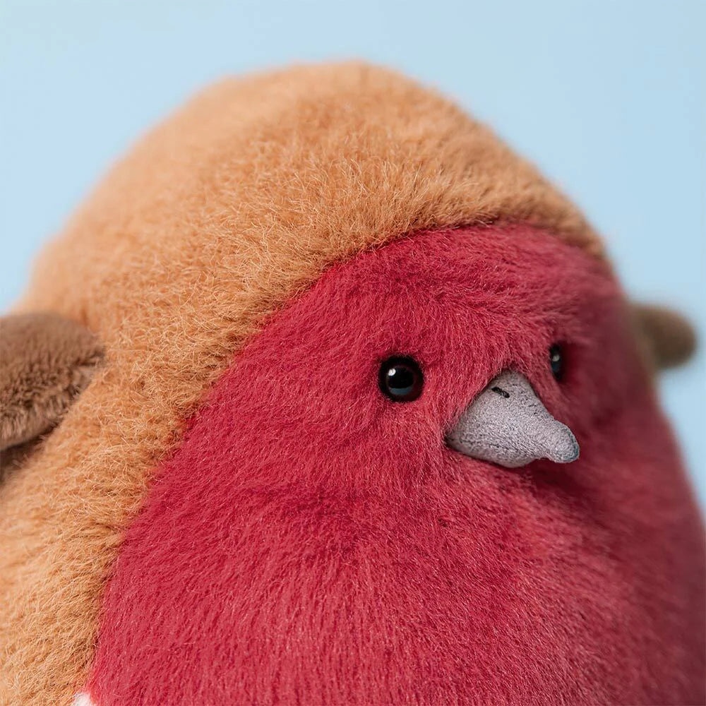 Oiseau Rouge-Gorge