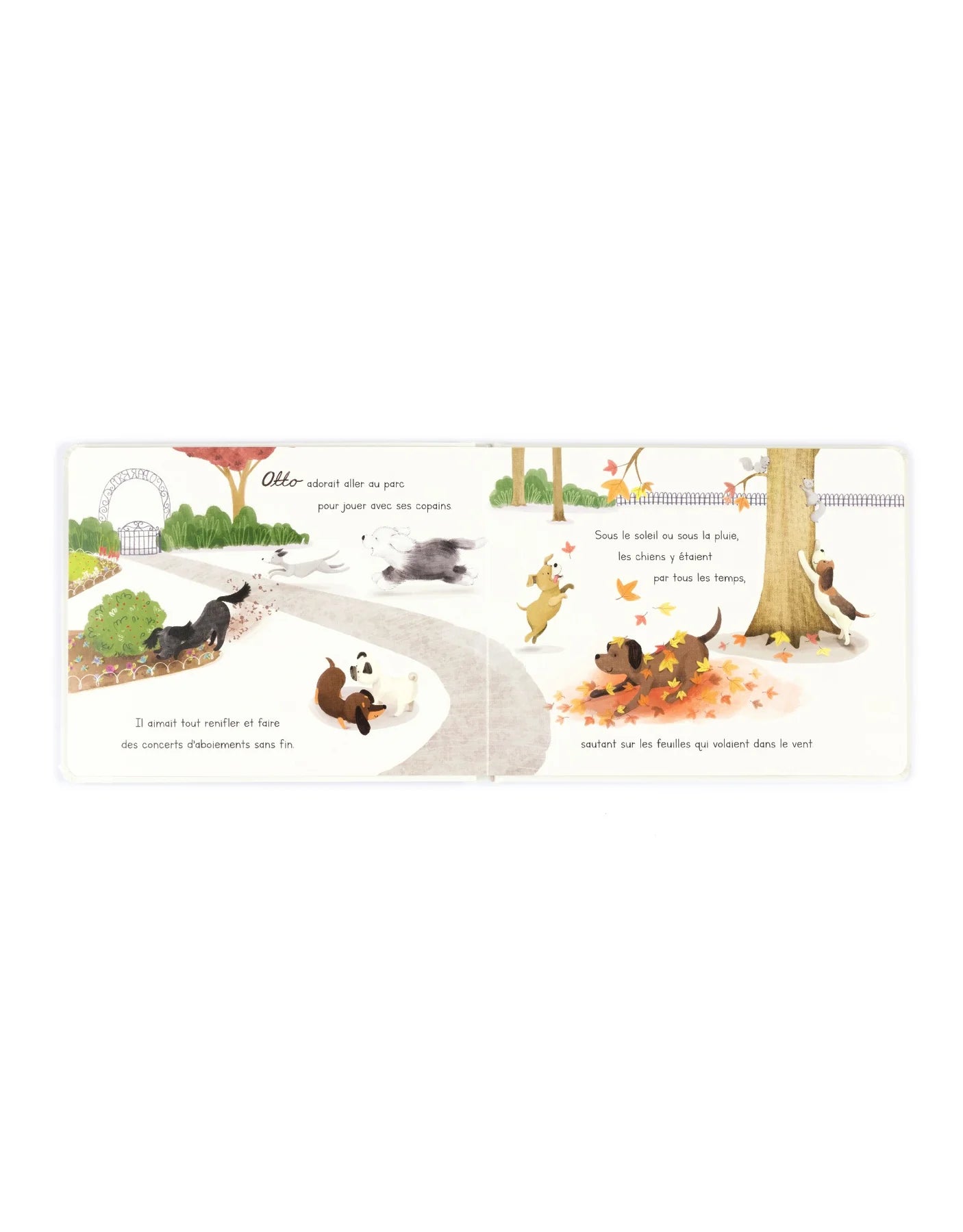 Livre Otto le Petit Chien Saucisse