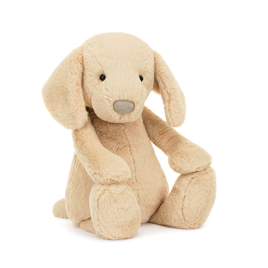 Chiot timide Luxe Orlando - Énorme