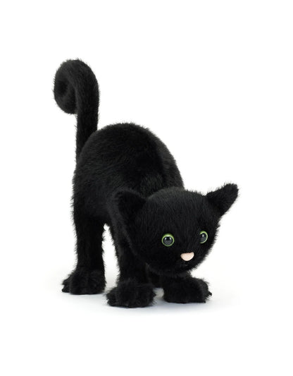 Chat Noir