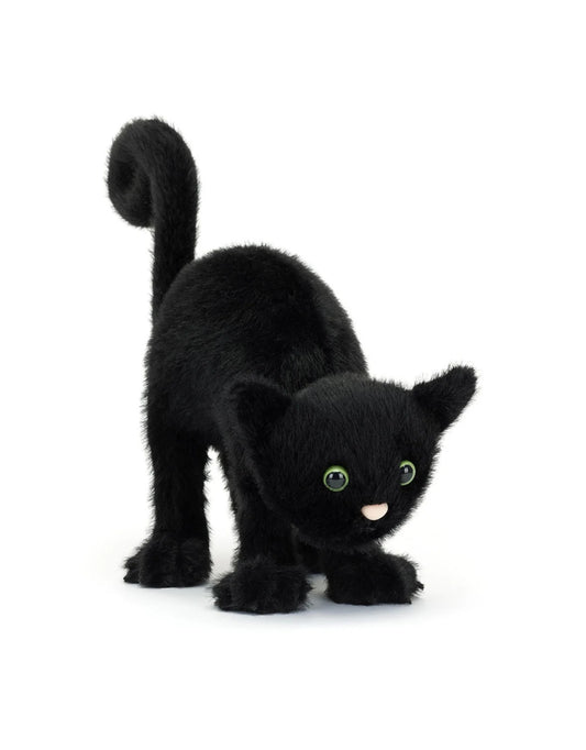 Chat Noir