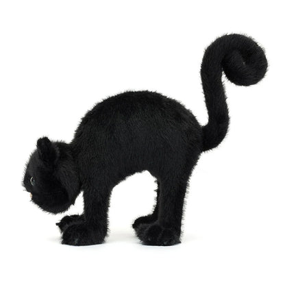 Chat Noir