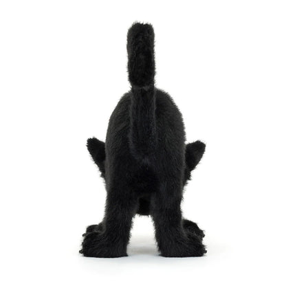 Chat Noir