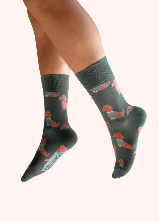 Chaussettes pour Homme - Chiens Saucisses | Powder