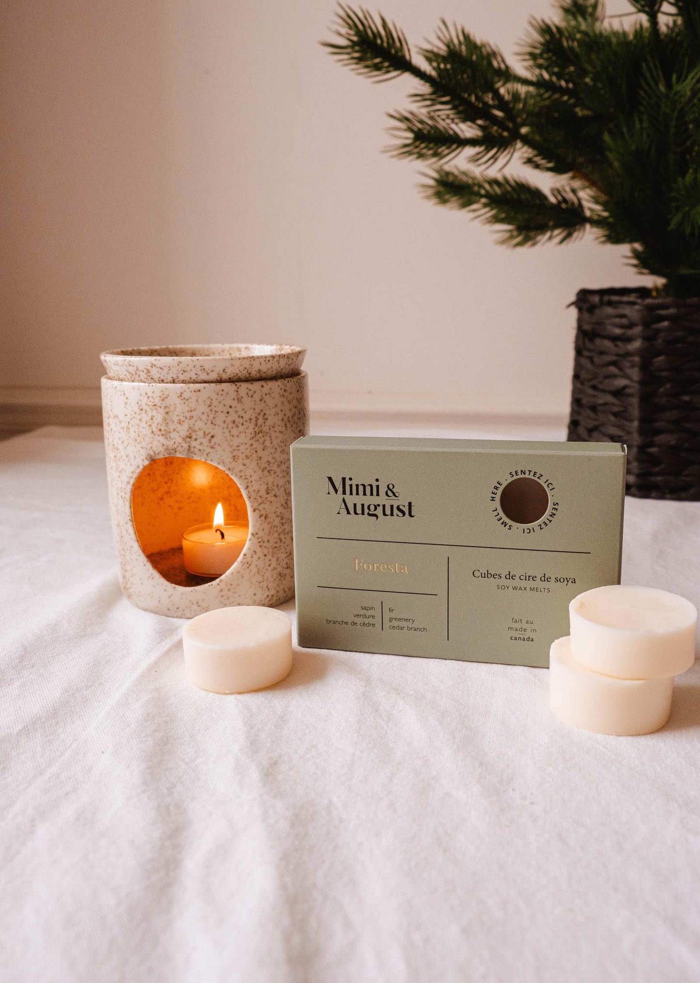 Cubes de Cire de Soja Foresta