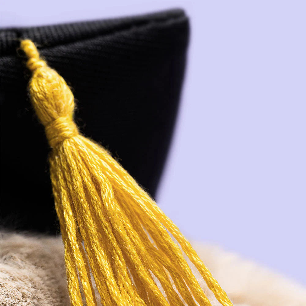 Lapin Timide avec Tenue de Graduation | Jellycat