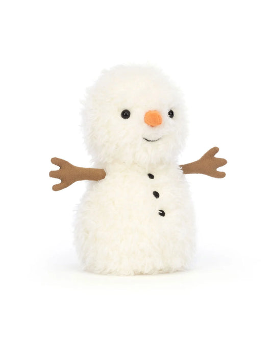 Petit Bonhomme de Neige