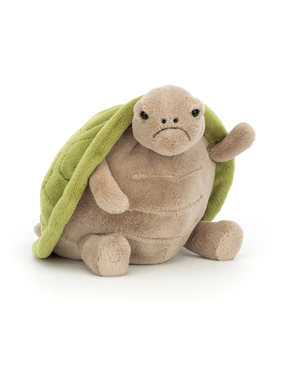 Tortue Timmy