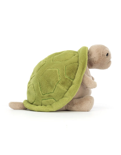 Tortue Timmy