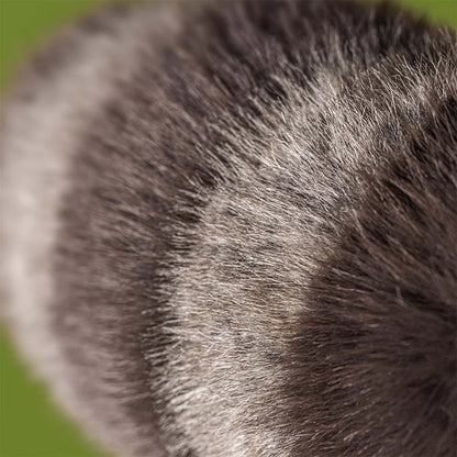 Trixiwoo Le Raton Laveur | Jellycat