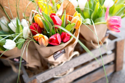 Bouquet de Tulipes